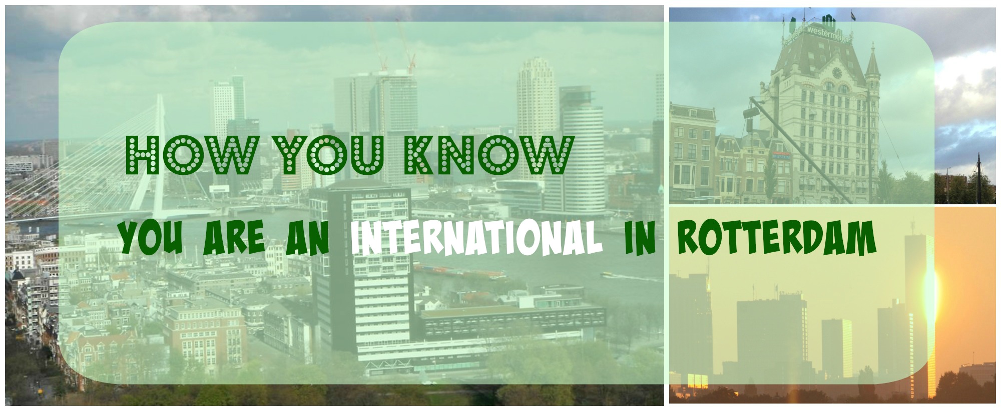 13 Signs You’re an Expat in Rotterdam