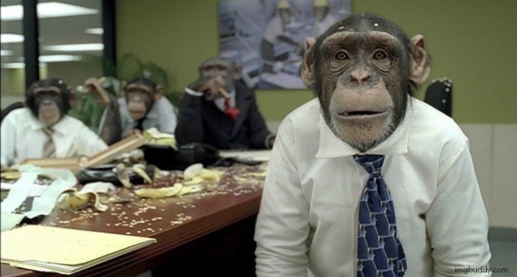 No Monkey Business in 2016!