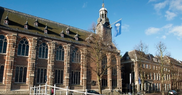 Looking for work in the Netherlands